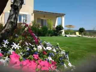 Gîte Lisianthus - Cabrières-dʼAvignon - 1
