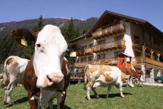 Hotel Lagorai - Osteria Carlettani - 4