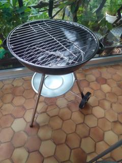 DINANT La Bergeronnette avec la chaleur du feu de bois et le jardin - Dinant - 6