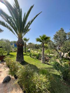 Domaine des Mimosas - Essaouira - 4