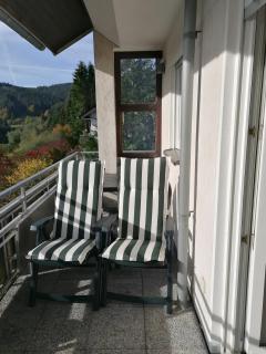 Ferienwohnung Wald-Ausblick - Willingen - 7