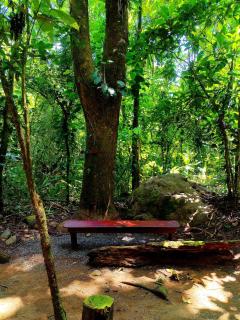 Sustainable Organic Farm and Heiling Retreatment Planeta Sano - Tapantí - 9