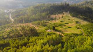 Sweet Forest Glamping - Sucre - 4