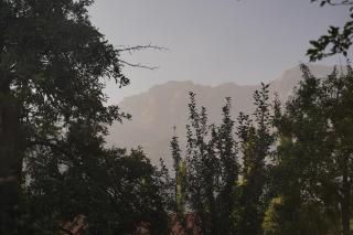 Alpinist Homestay - 2