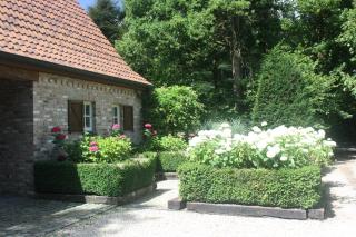 La Cuesta in the forest - 8