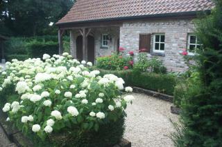 La Cuesta in the forest - 0