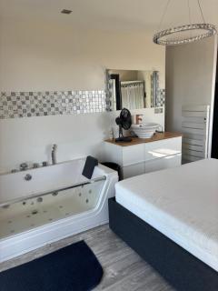 Maison de vacances en Camargue - Marsillargues - 7