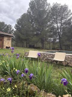 Casa Rural Terapéutica EL CAROCHE - Enguera - 0