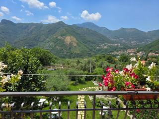 Tramonti Divini - Amalfi Coast Country House - 6