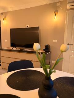 Cozy Apartment Timisoara - Timişoara - 6