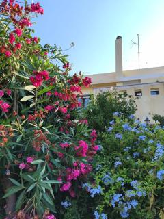 Mesta Port Bliss, Chios - Seaside Comfort and Charm - Chios - 1