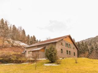 Grande maison au cœur des Vosges, escapades et nature - FR-1-583-466 - 6