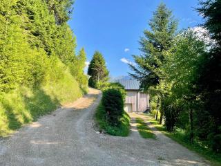 Haus am Erzbach - Ferienwohnung mitten in der Natur - Eisenerz - 4