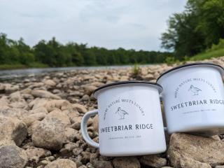 Stargazing Dome on secluded 56 acres - Solidago - 8