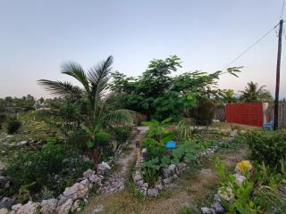 B&B G&H house Zanzibar - Pingwe - 7
