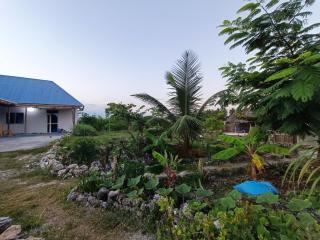 B&B G&H house Zanzibar - Pingwe - 8