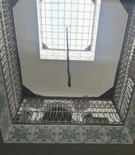 Riad la madriguera de Tetuan - Tétouan - 2