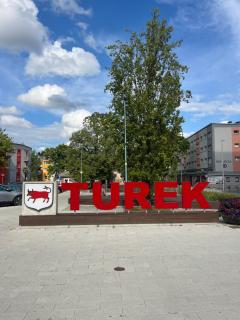 Studio w centrum - Turek - 9