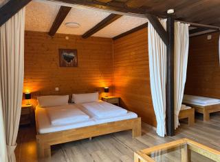 Ferienwohnung & Spa Renate - Sibratsgfäll - 9