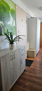 Sunny - Murava - 9