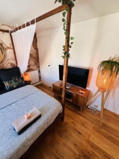 Studio Exotique Hyper-Centre Enghien 12min Paris - 9