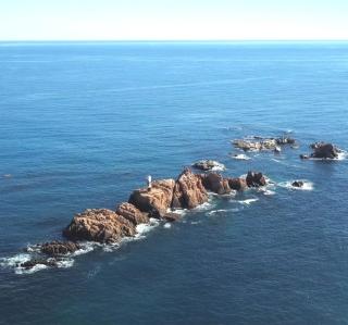 La Fosca - Palamós - 9