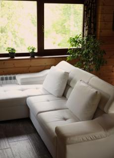 Abies Alba - - 7