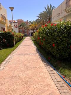 appartement MARINA SIADIA AP6 - 9