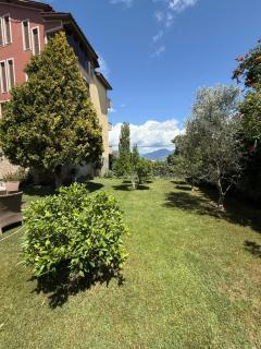 Hill Haven Guesthouse - 4