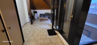 Grand Studio Centre Geneve - Genf - 1