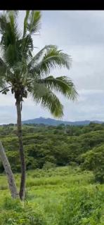 Lavusa - Nadi - 4