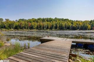 Sandy Cove Cottage - Haliburton - 9