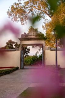 Hotel Rural Palacio Haza de la Concepción - Malpartida de Plasencia - 8