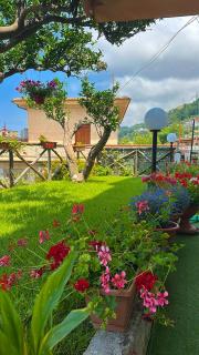 B&B Paola City - Paola - 9