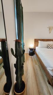 Stay at The Agave - New Braunfels Tiny House - 2