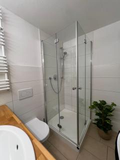 Ferienwohnung Alpenruhe mit Pool & Sauna - Scheidegg - 1