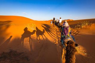 Merzouga Desert Camel Trekking - Merzouga - 4