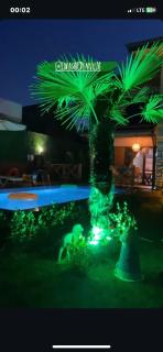 Lina Garden Villa - Sapanca - 9