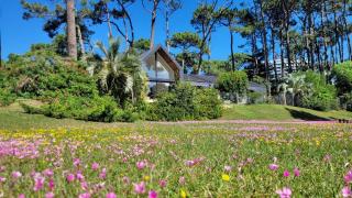Dream house in San Rafael - 9