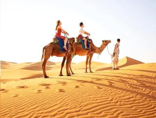 Sahara Luxury Traditional Camp - 1