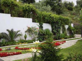 Top privacy Eco Villa of 2023 @ TEG hill Tirana - Tirana - 4