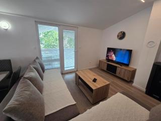 Apartments Ivankovic - Two Bedroom Apartment with Terrace - 9