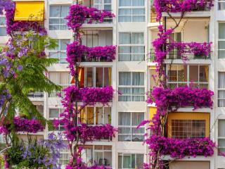 Apartment with Terrace near the Sea - 0