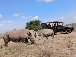 Nairobi National Park Safari - Nairobi - 4