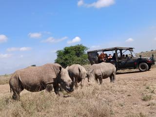 Nairobi National Park Safari - 3