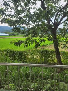 Jeryeong Forest Pension - 2