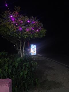 Shri Hari lodge hotel and restaurant - Gopeshwar - 6