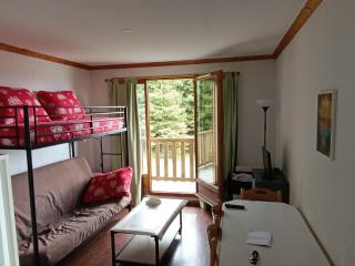 Appartement spacieux à Super Besse pour 4 personnes avec parking - FR-1-814-146 - Besse-et-Saint-Anastaise - 9