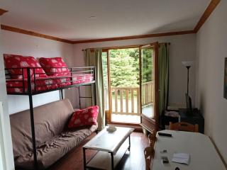 Appartement spacieux à Super Besse pour 4 personnes avec parking - FR-1-814-146 - Besse-et-Saint-Anastaise - 1