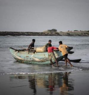 Yala Oruwella Beach Camping & Restaurants - 4